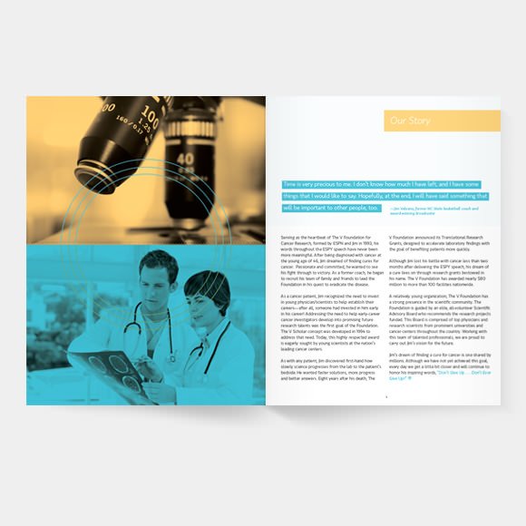 vf annual report 2010