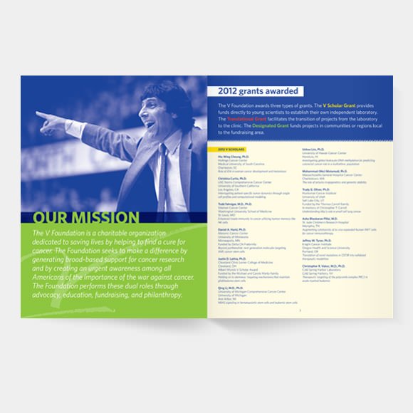 vf annual report 2012