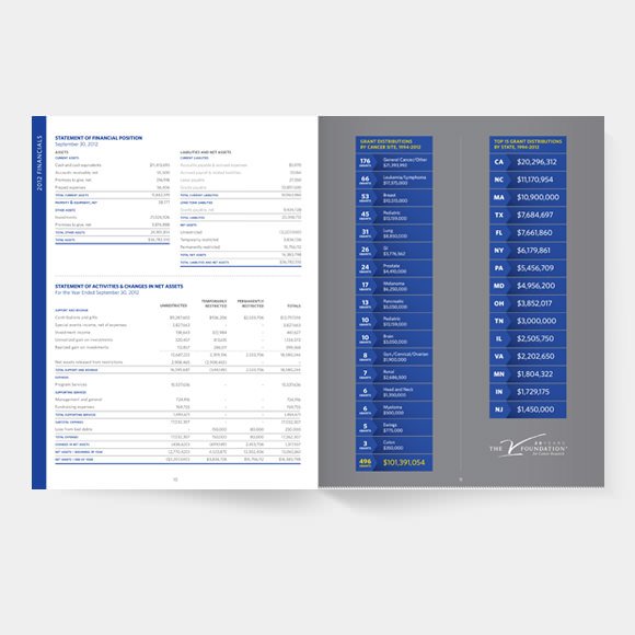 vf annual report 2012